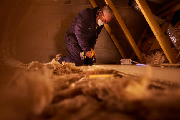 Trusted Calumet Park, IL Insulation Contractor Experts
